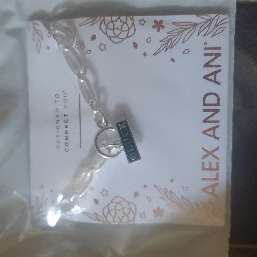 Alex ani 2026 gorgeous toggle silver necklace luck ✨️